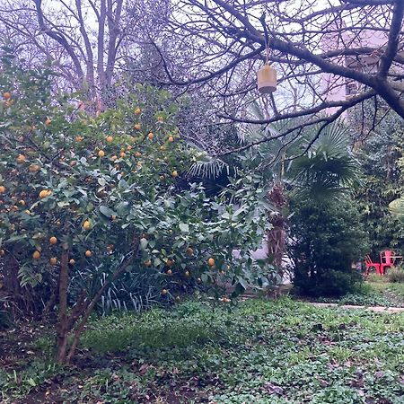 Un Jardin En Ville Тулуза Экстерьер фото