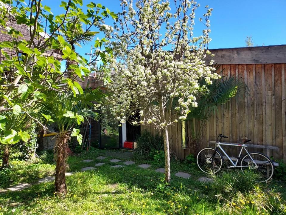Un Jardin En Ville Тулуза Экстерьер фото